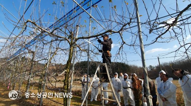 보성군, 과수 안정적인 생산을 위한 겨울철 전정 교육