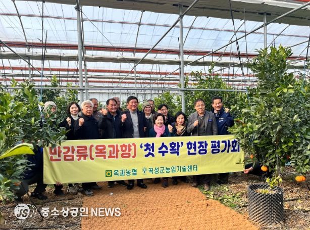 곡성군, 만감류(옥과향)‘첫 수확’ 현장 평가회