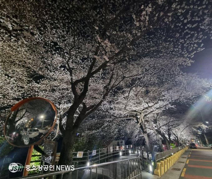 개금동 벚꽃데크길 경관조명 설치 완료