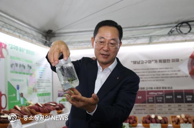 해남에는 고구마연구센터가 있다“명품 고구마 육성”
