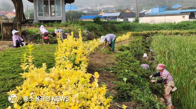 관지마을 연꽃 방죽 환경정화