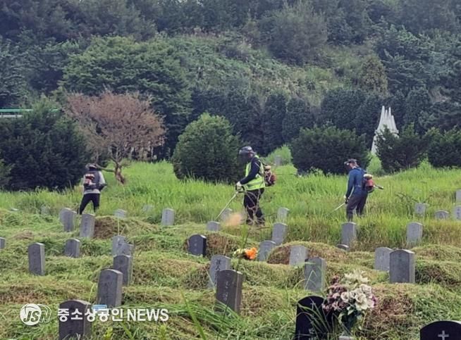 장흥군, 추석 맞이 공설공원묘지 벌초 “손님 맞이 완료”