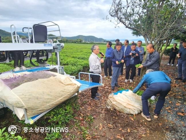 보성군, 녹차 전남 Top 경영모델 실용화사업 연시회 개최_백록다원에서 전라남도농업기술원과 공동으로 ‘녹차 전남 Top 경영모델 실용화사업 연시회’를 개최했다