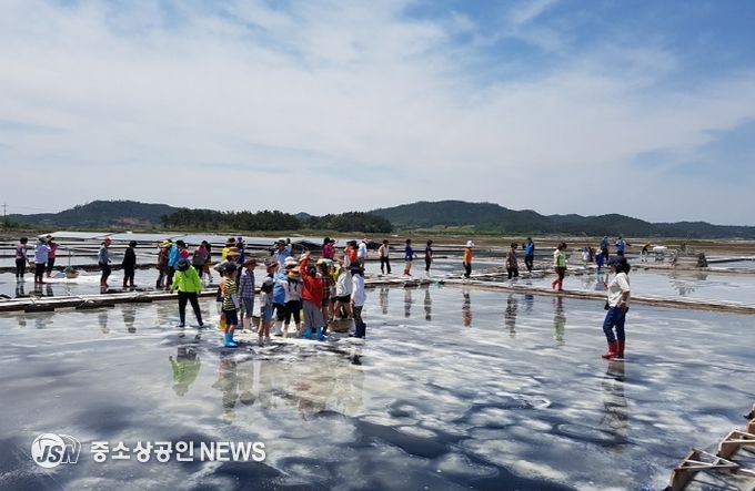 신안군, 제2회 보물섬 함초축제 개최