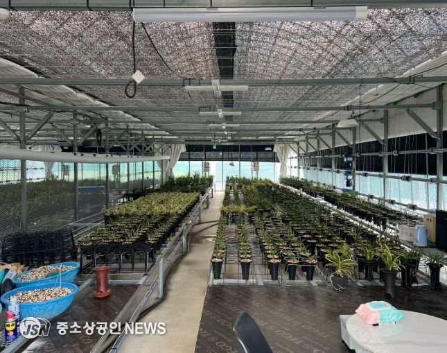수출용 한국춘란을 재배 중인 온실 내부 모습