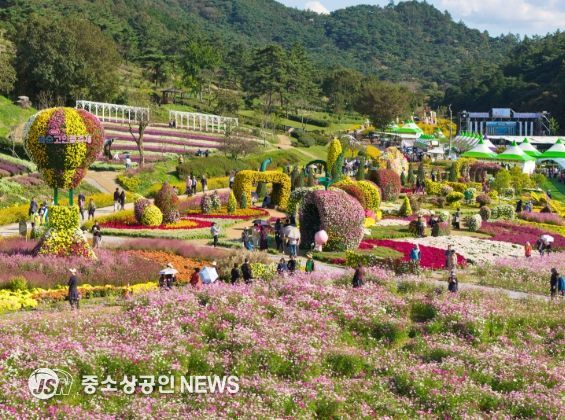 '2025 화순 고인돌 가을꽃 축제(도곡 축제장 전경)