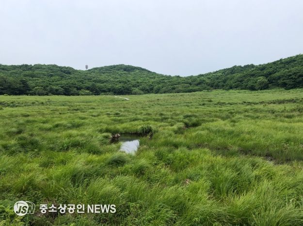 (북부지방산림청) 강원 인제 대암산 용늪 산림유전자원보호구역