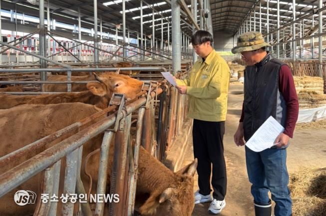 순창군, 동절기 대비 축산분야 재해 예방 현장점검 강화