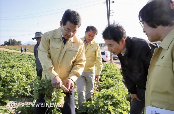 권익현 부안군수, 김장 채소 병해충 피해 현장 방문