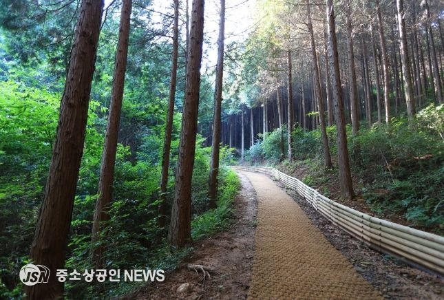 고흥군, 2025년 SRT 어워드 ‘국내 최고의 여행지’ 2년 연속 대상 수상