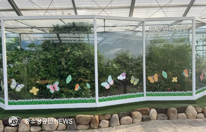 연결·혁신·번영의 ‘APEC’ 나비, 함평에서 날다