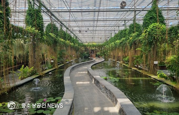 정글 속으로! 함평군 ‘수생식물관’, 이색 연출 인기 만점