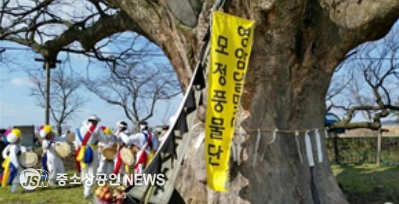 영암 군서면 모정마을