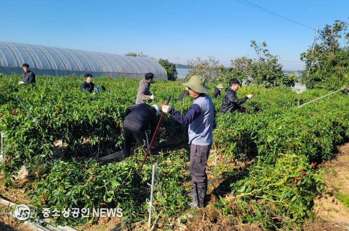 영암군 지역사회, 가을 농촌일손돕기