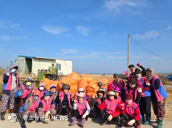 영광군 백수읍생활개선회, 분등해변서 해양 정화활동