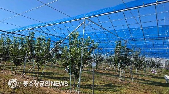 배 농가와 함께 ‘과수 기후변화 대응 현장 컨설팅’