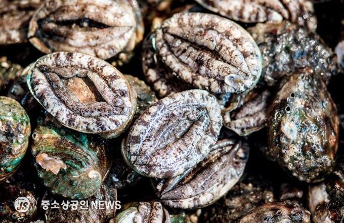 진도군전복협회, ‘학교급식 진도전복 먹는 날’ 운동 전개