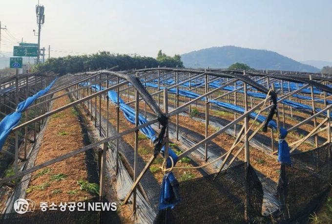 영광군, 한파·대설 대비 농업시설물 집중 점검