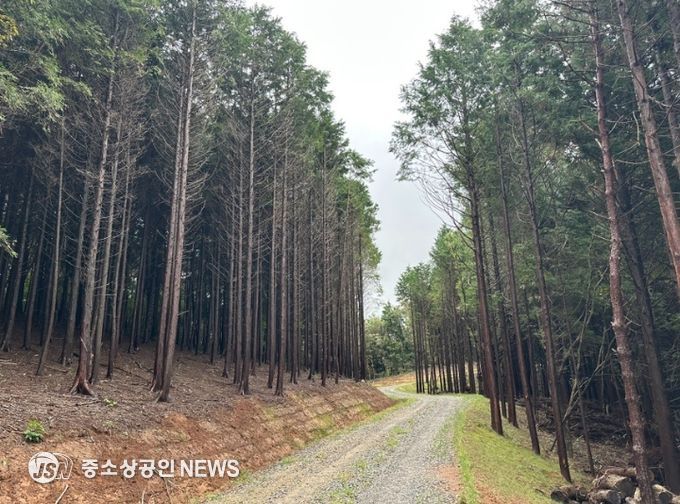 산림청 임도 우수사례 평가 ‘우수기관’ 선정