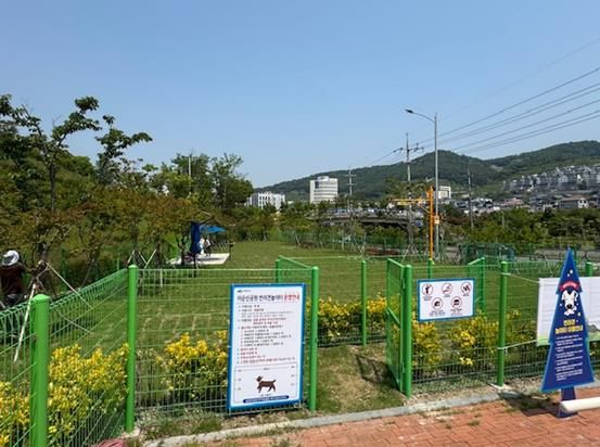 이순신공원 반려견놀이터 전경