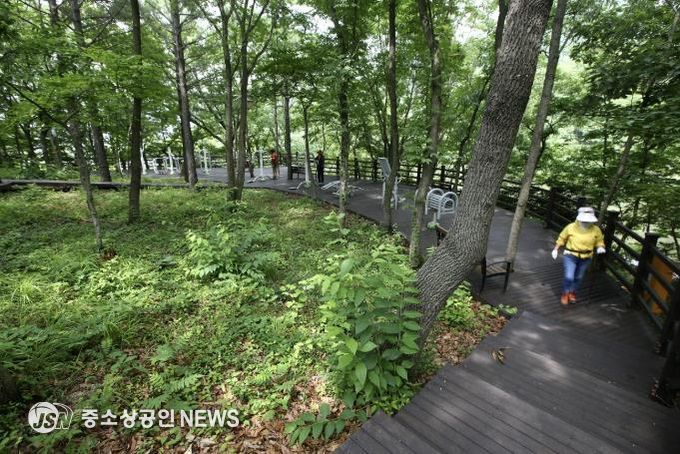 금강저수지 둘레길