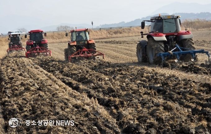 영광군, 왕우렁이 월동 방지 위한 선제 대응 추진
