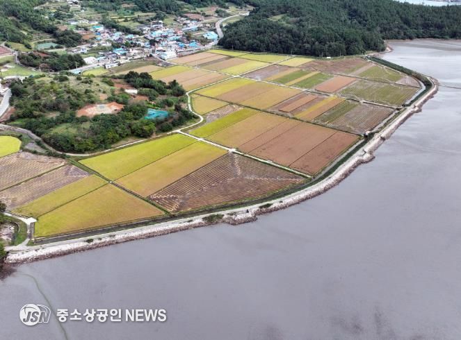 회진면 장산방조제 사진