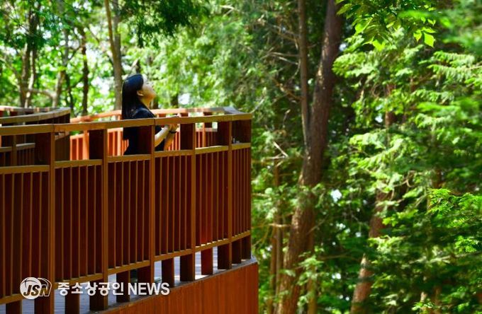 장성 축령산 하늘숲길을 찾은 관광객.